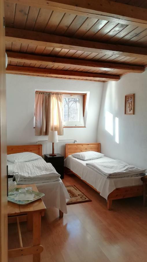 Pensiunea Amo Vălenii de Munte Esterno foto